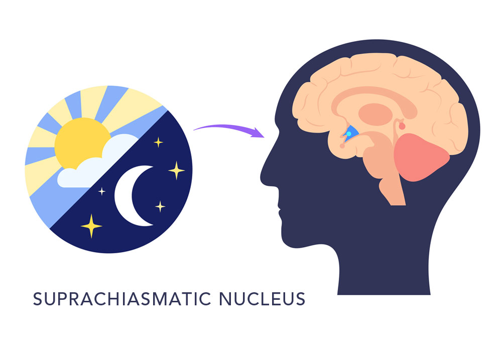 Melatonin & Demenz